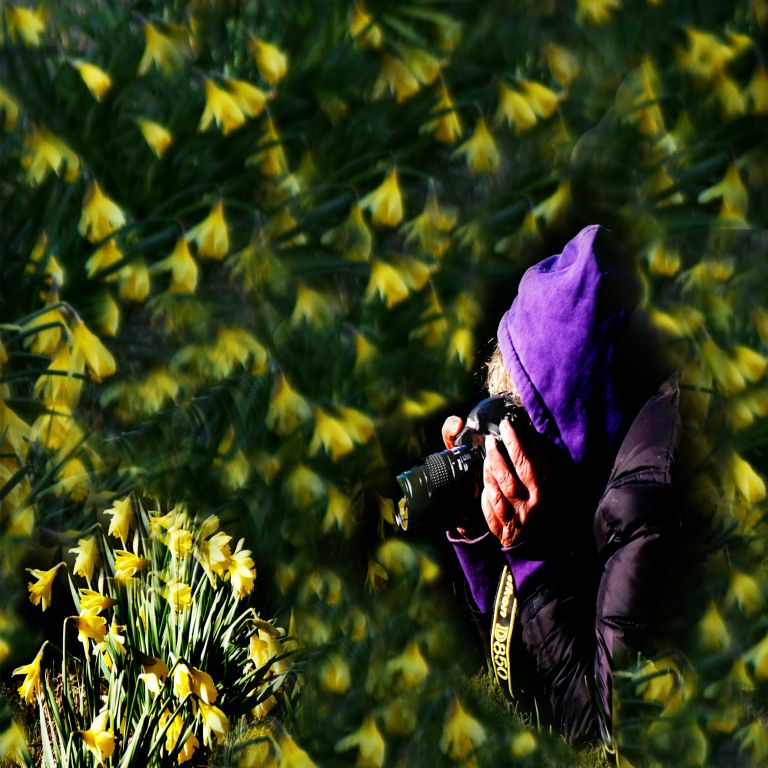 Portrait of the Photographer (iii)